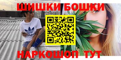 молекула духа Лесосибирск