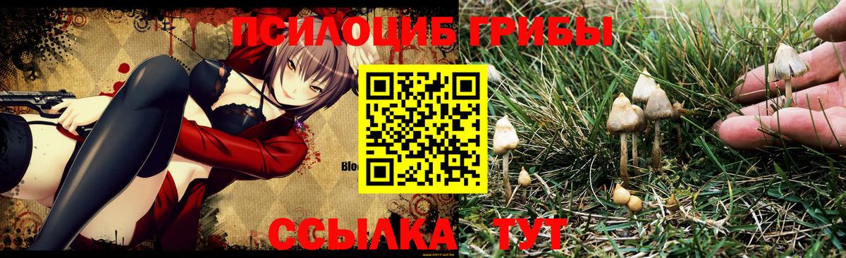 Псилоцибиновые грибы MAGIC MUSHROOMS  Псилоцибиновые грибы GOLDEN TEACHER  Чита  Вход с VPN 