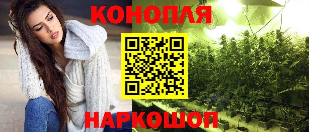 Марихуана ГИДРОПОН  Вход с VPN  Чита  МАРИХУАНА сатива  Бошки марихуана гибрид 